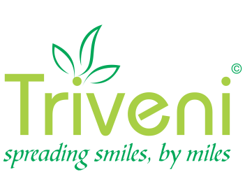 Triveni Group